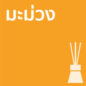 มะม่วง - ก้านไม้ 50ml